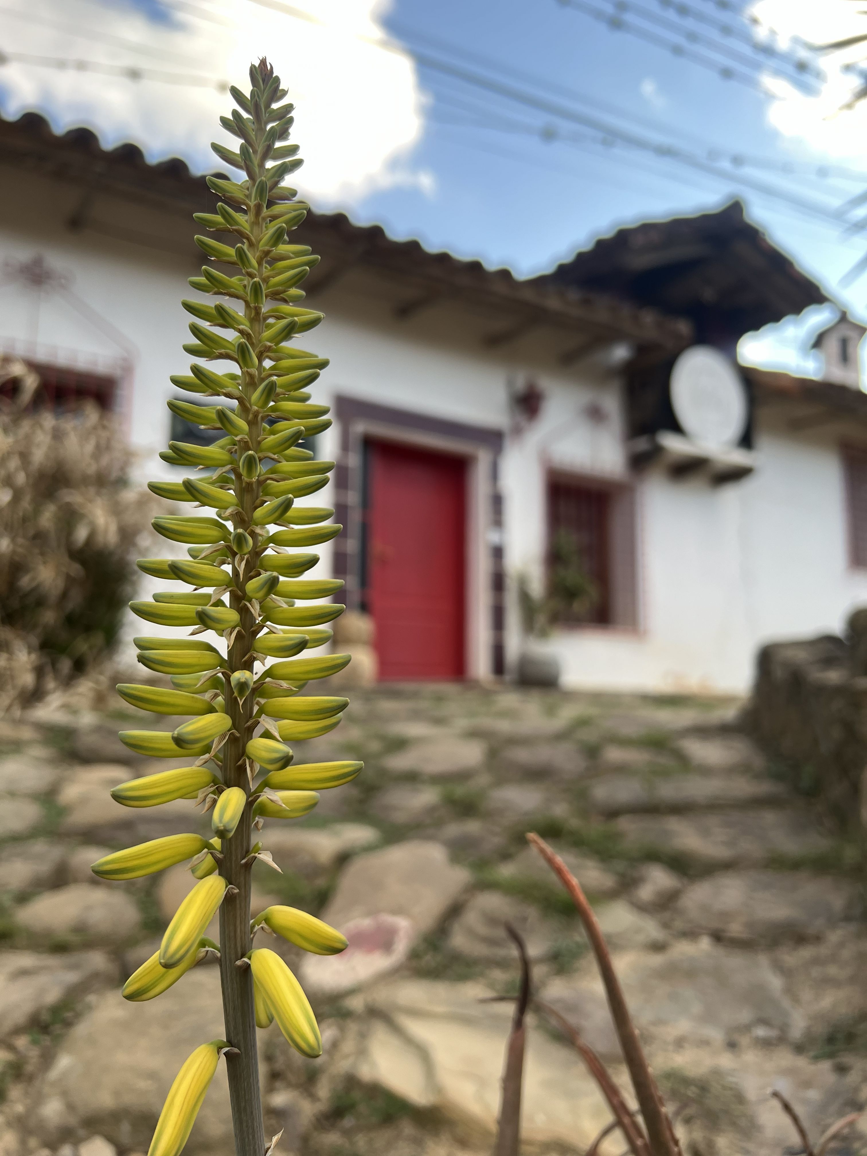 Samaipata - Cabaña